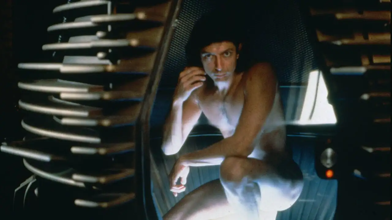 La mouche – image d’arrière-plan