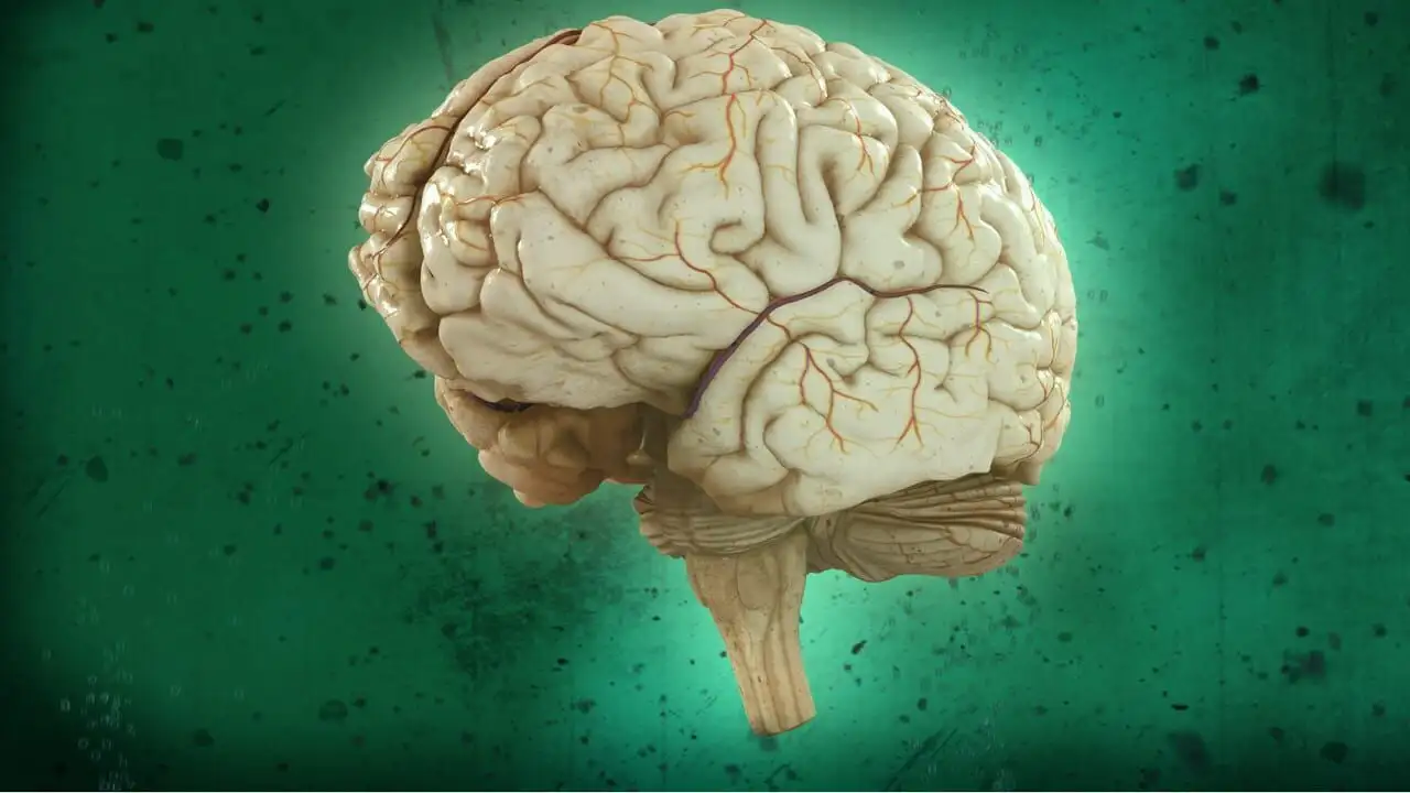 Brain Games - La perception – image d’arrière-plan