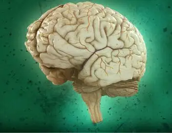 Brain Games - La perception – affiche