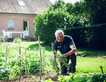 L'amour est dans le pré - Saison 20 – affiche