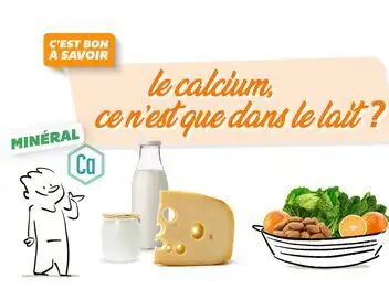 C'est bon à savoir - Le calcium, ce n'est que dans le lait ? – affiche