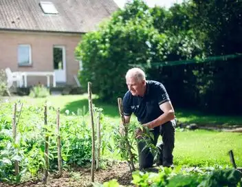 L'amour est dans le pré - Saison 20 – affiche