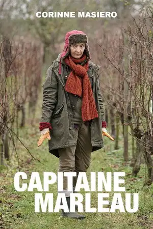 Capitaine Marleau - Saison 4 - Compagnon – affiche