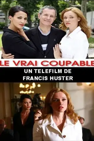 Le Vrai Coupable – affiche